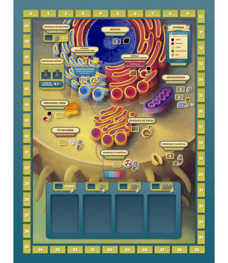 Cytosis Big Box - Un juego de biología celular